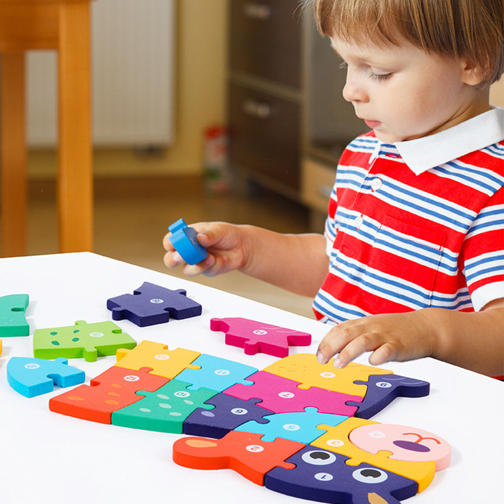LCM-041602 Wooden Brain Puzzles for Kids, Peg Puzzles For Toddlers, Montessori Educational Learning Puzzles Set for 1-3 Year Old Boys & Girls